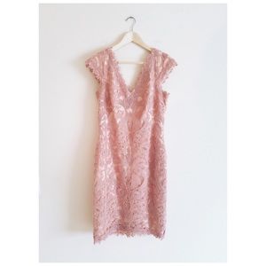 Embroidered Pink Lace Sheath Dress Tadashi Shoji
